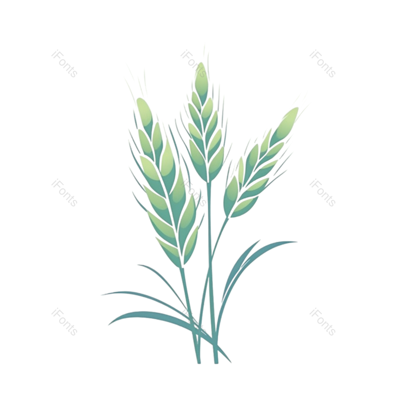 芒种图片,小满元素,麦子PNG,麦穗免抠素材